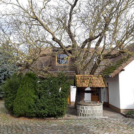 Ein Bett Im Kornfeld - Haus Weitblick - Mit Innenpool Schonfeld  Esterno foto