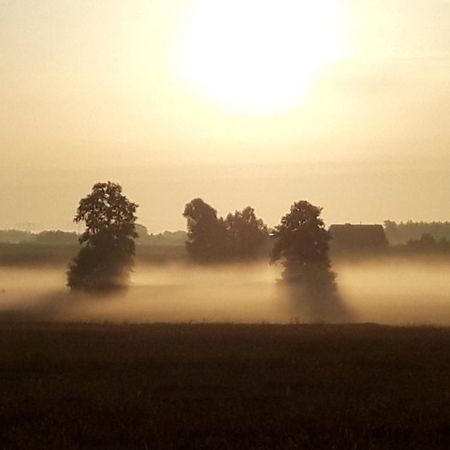 Ein Bett Im Kornfeld - Haus Weitblick - Mit Innenpool Schonfeld  Esterno foto