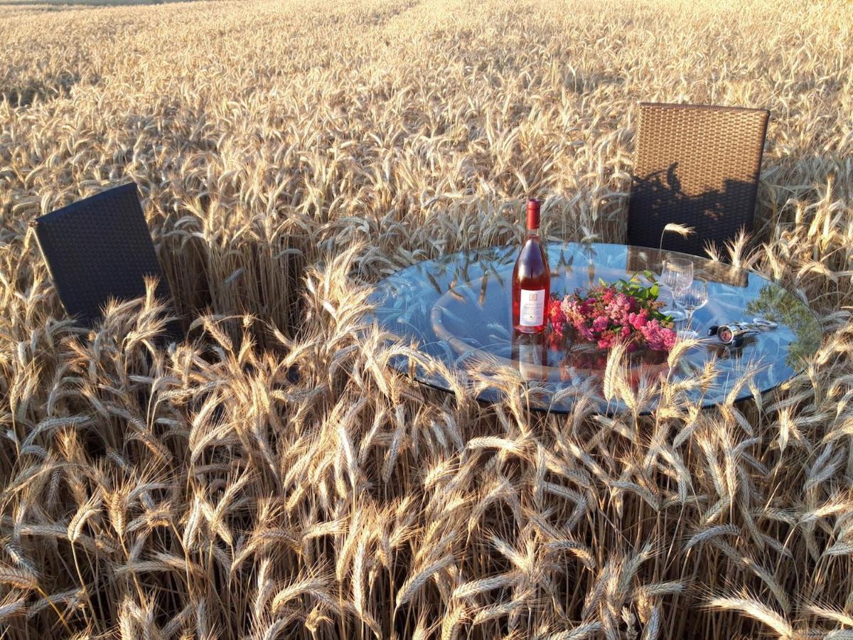 Ein Bett Im Kornfeld - Haus Weitblick - Mit Innenpool Schonfeld  Esterno foto