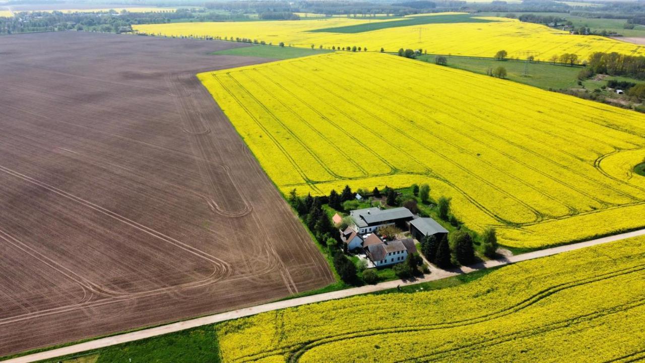 Ein Bett Im Kornfeld - Haus Weitblick - Mit Innenpool Schonfeld  Esterno foto